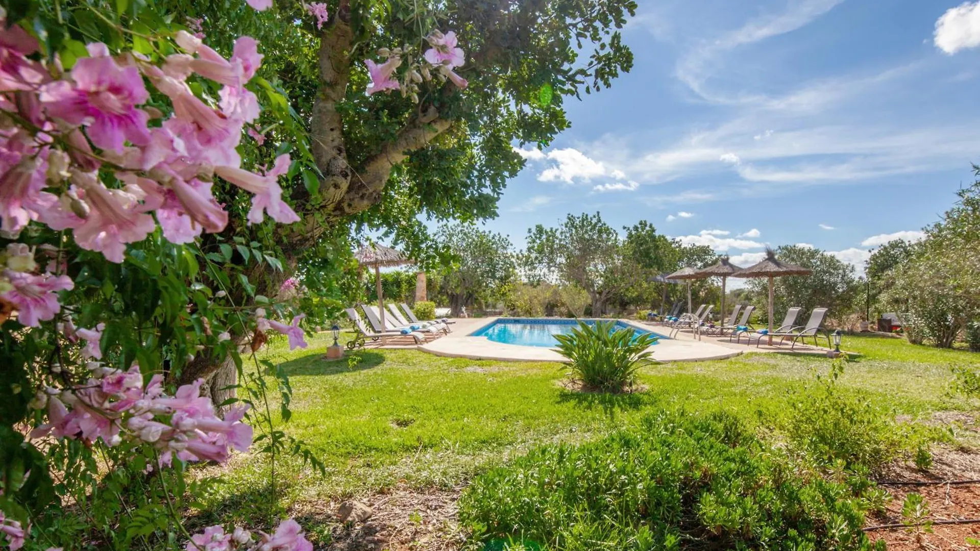 Finca Son Marimon (Adults Only) Santanyi Farm stay