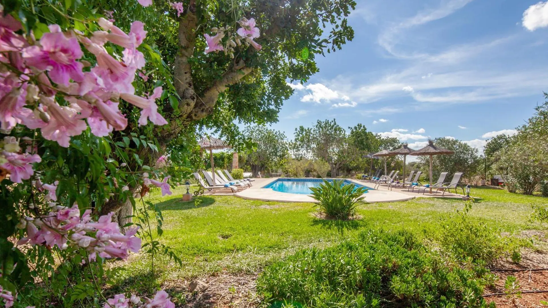 Farm stay Finca Son Marimon (Adults Only) Santanyi