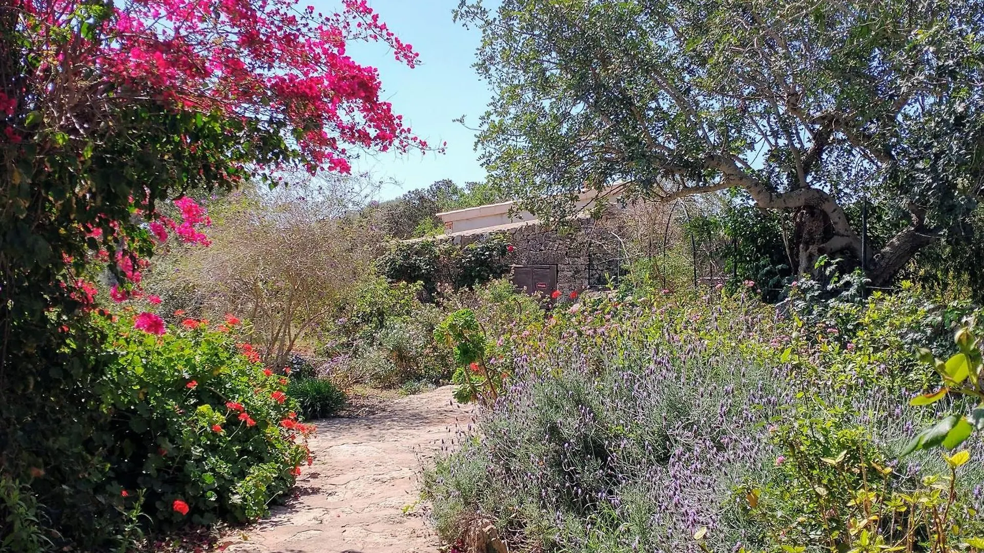 Agroturismo Finca Son Marimon (Adults Only) Santanyí España