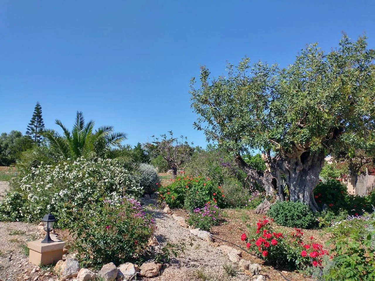 Finca Son Marimon (Adults Only) Santanyi