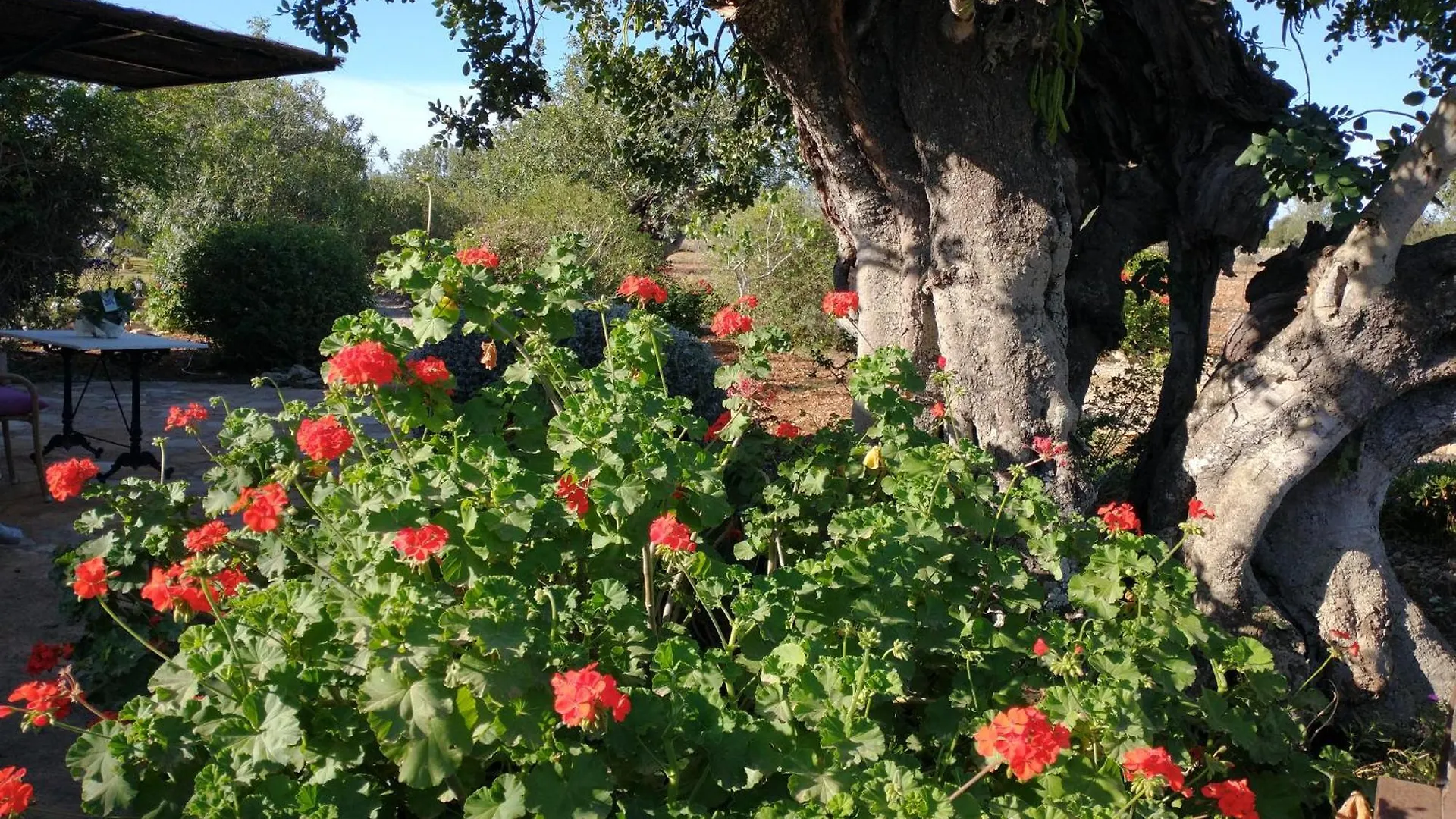 Finca Son Marimon (Adults Only) Santanyi Farm stay