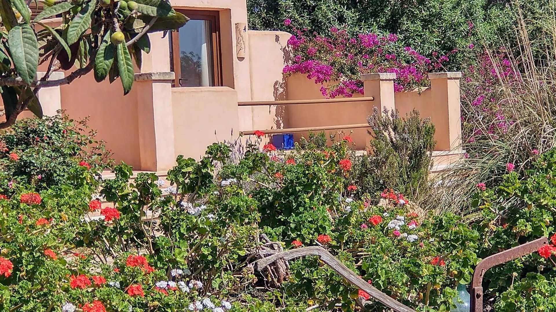 Farm stay Finca Son Marimon (Adults Only) Santanyi