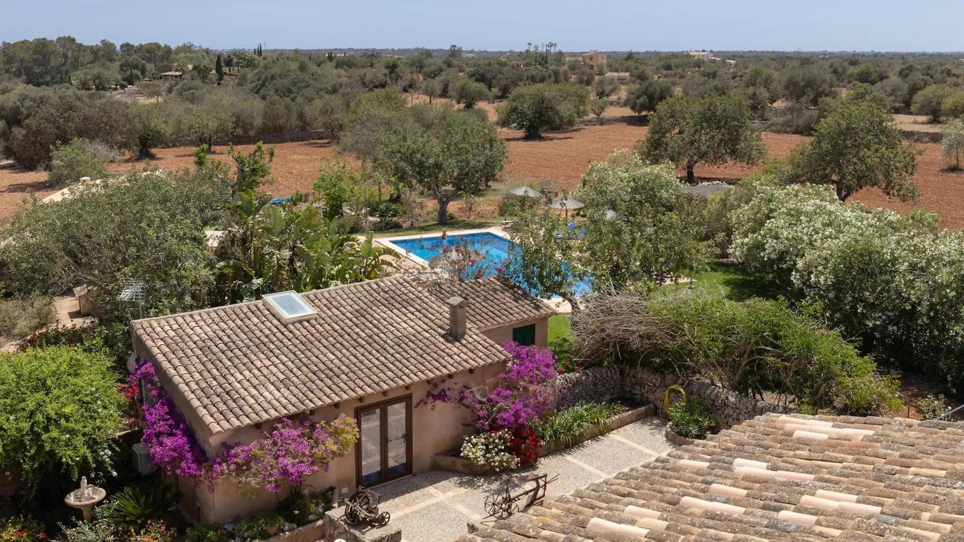 Farm stay Finca Son Marimon (Adults Only) Santanyi Spain