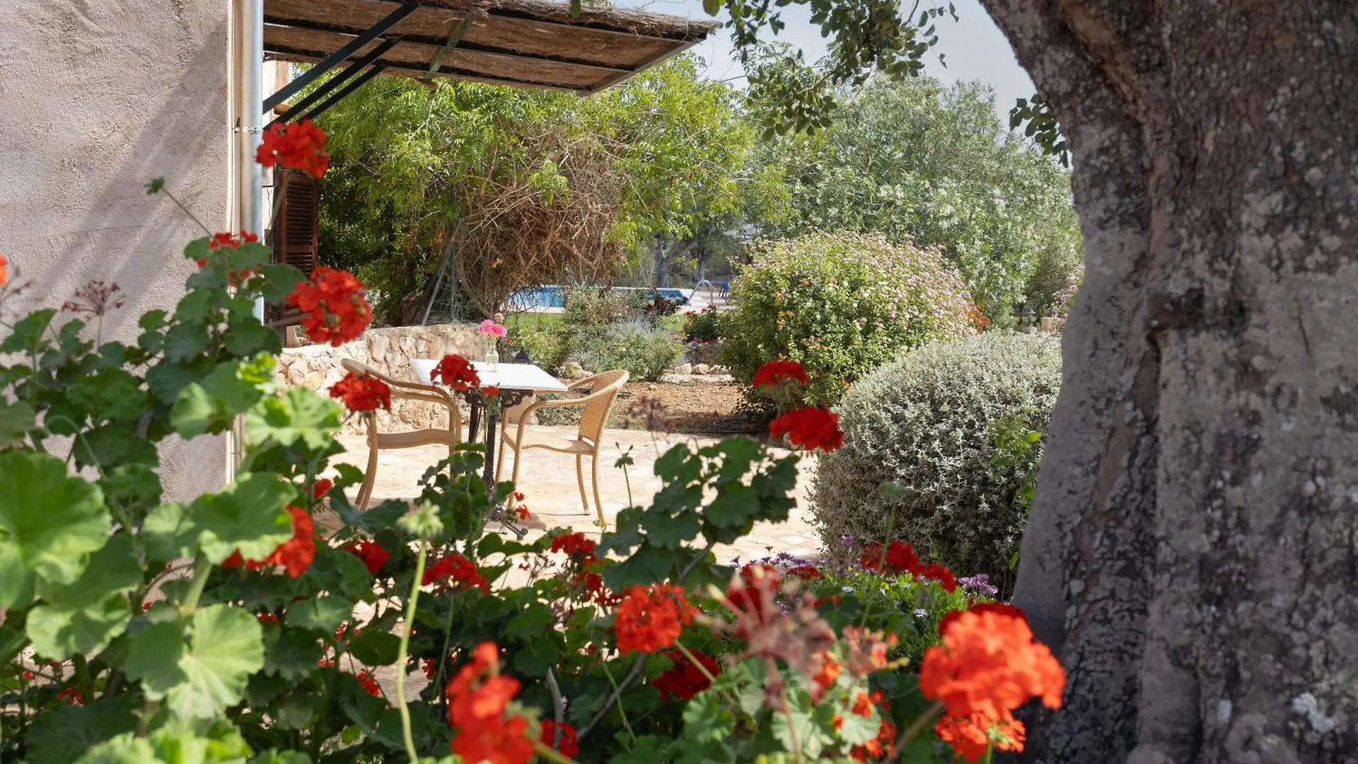 Agroturismo Finca Son Marimon (Adults Only) Santanyí