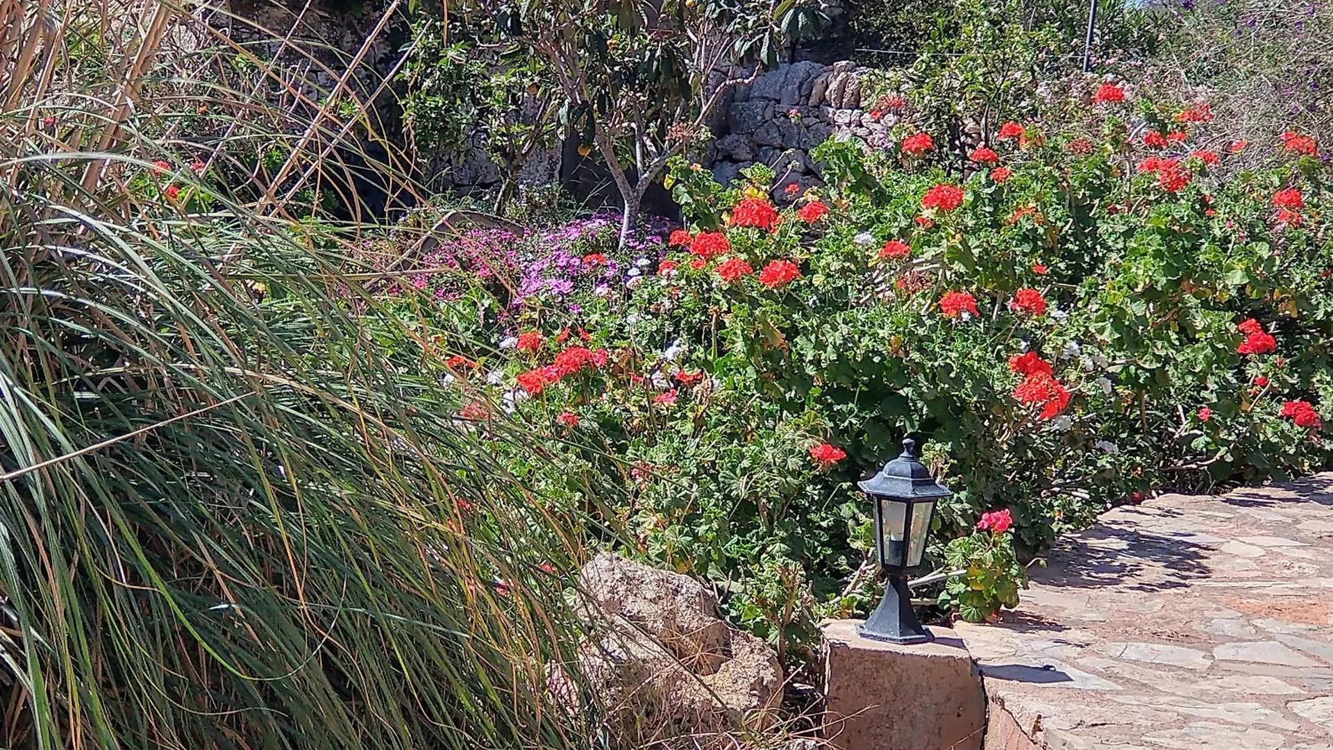 Finca Son Marimon (Adults Only) Santanyi