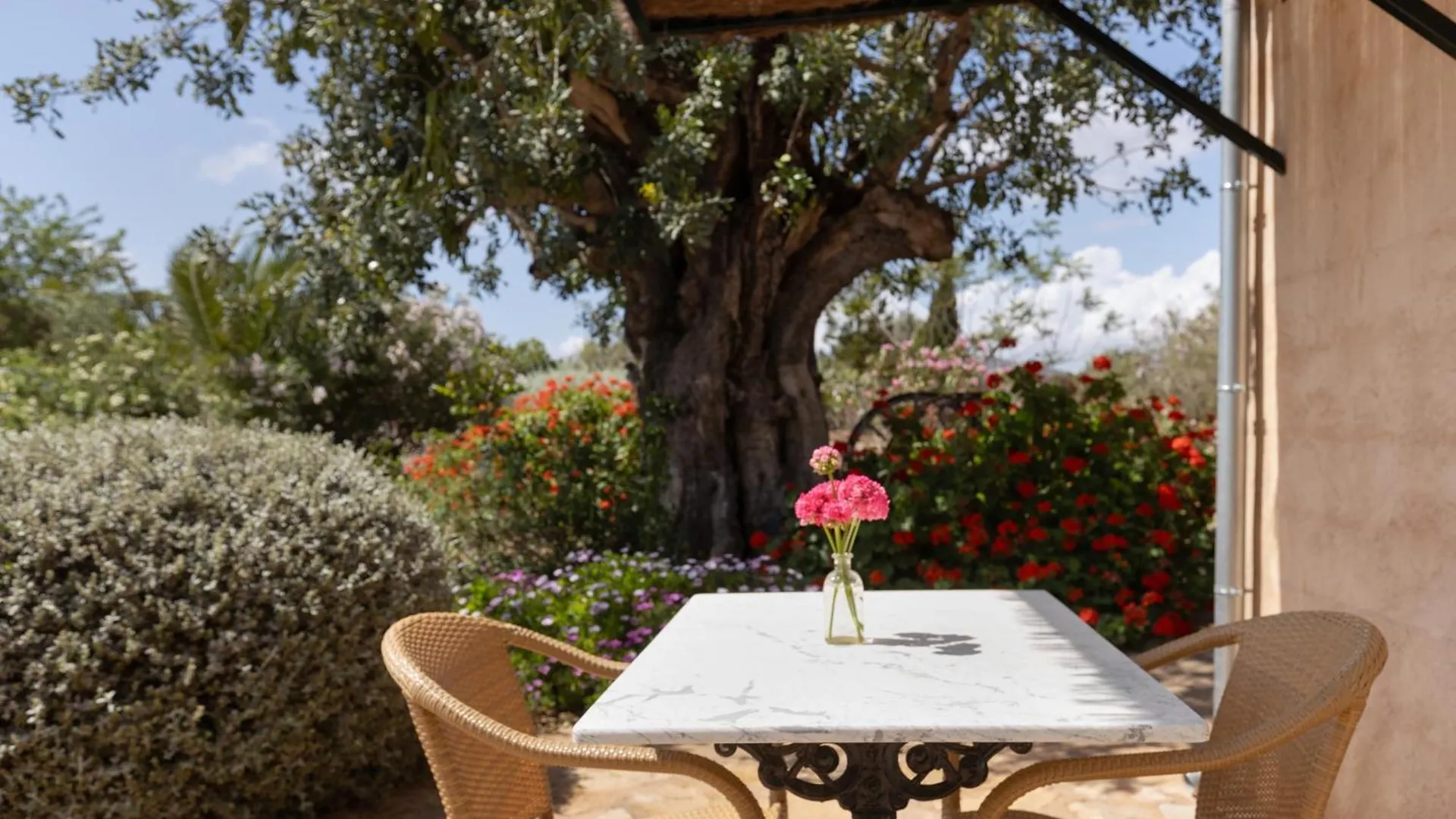 Finca Son Marimon (Adults Only) Santanyi Farm stay