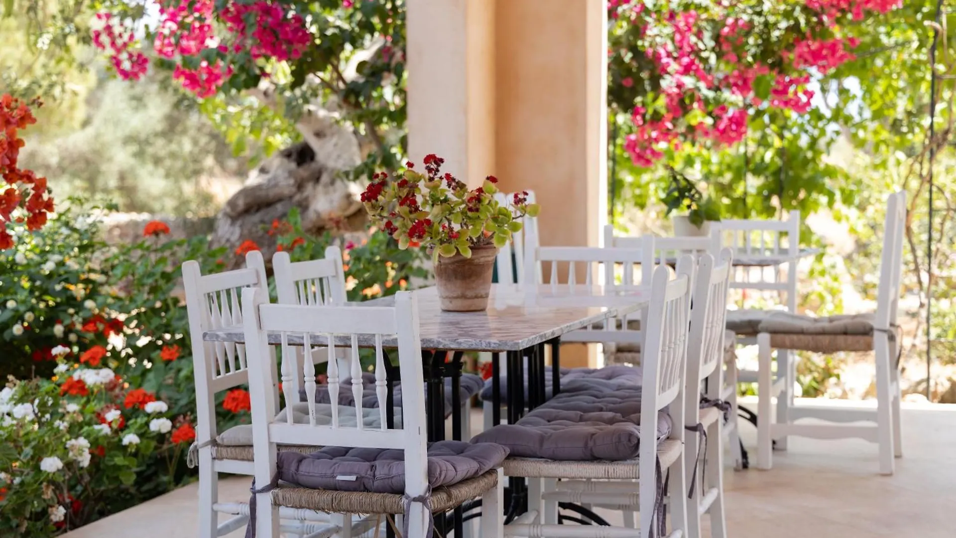 Farm stay Finca Son Marimon (Adults Only) Santanyi Spain